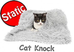 Cat Knock