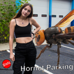 Hornet Parking